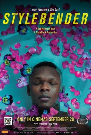 Stylebender Poster