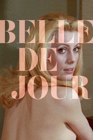 Belle de Jour Poster