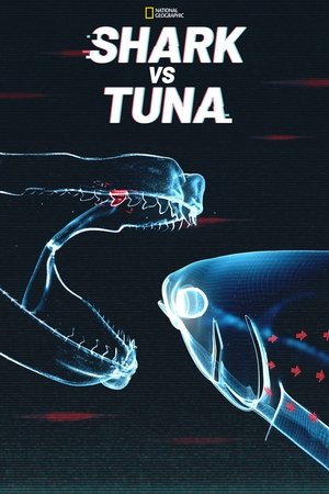 Shark vs. Tuna Poster
