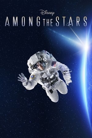 Among the Stars Poster