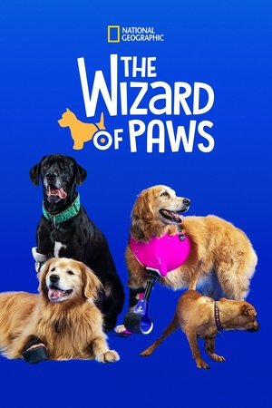 The Wizard of Paws Poster