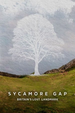 Sycamore Gap: Britain's Lost Landmark Poster
