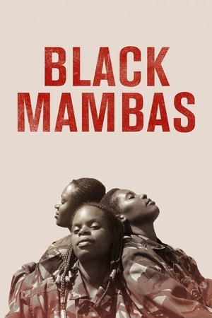 Black Mambas Poster