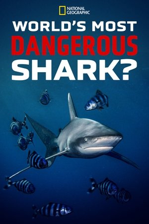 World's Most Dangerous Shark? Poster