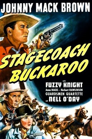 Stagecoach Buckaroo Poster