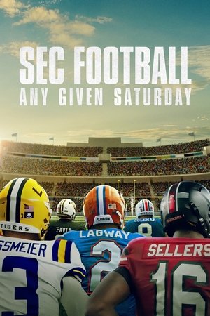 SEC Football: Any Given Saturday Poster