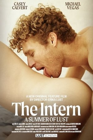 The Intern: A Summer of Lust Poster