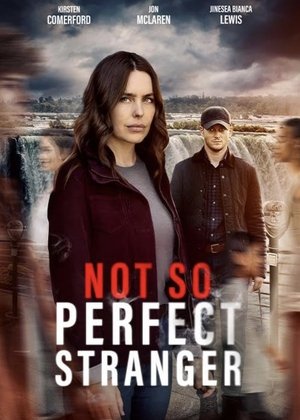 Not So Perfect Stranger Poster