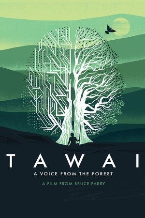 Tawai: A Voice from the Forest Poster