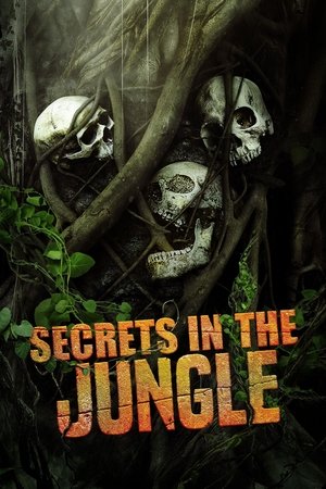 Secrets in the Jungle Poster