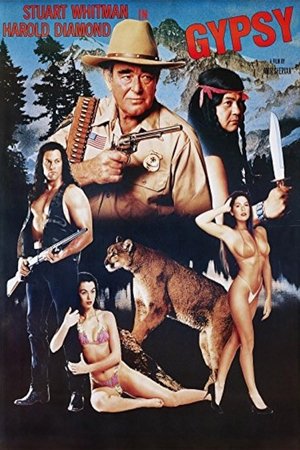Gypsy Poster