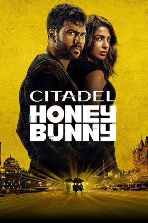 Citadel: Honey Bunny Poster