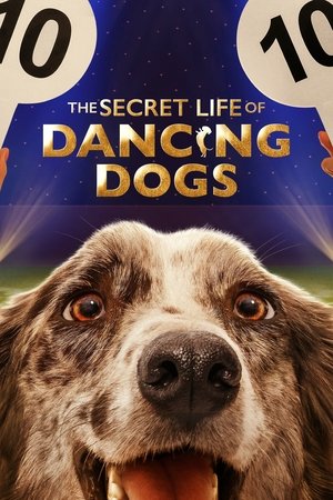 The Secret Life of Dancing Dogs Poster