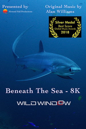 Wild Window: Beneath the Sea Poster