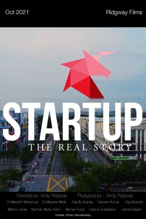 Startup: The Real Story Poster