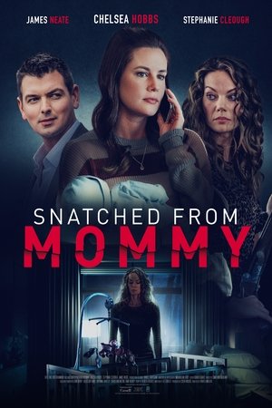 Snatched from Mommy Poster
