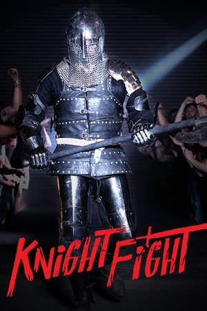 Knight Fight Poster