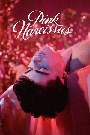 Pink Narcissus Poster