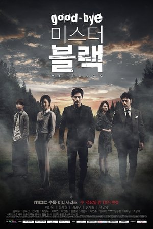 Goodbye Mr. Black Poster