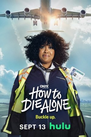 How to Die Alone Poster