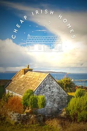 Cheap Irish Homes Poster