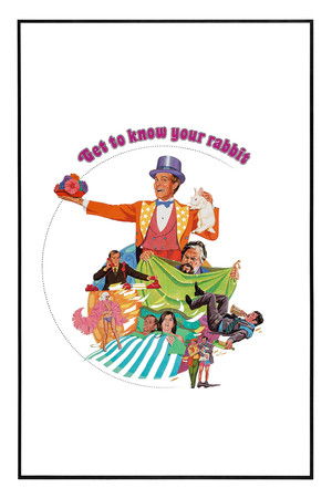 Get to Know Your Rabbit Poster