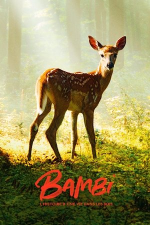 Bambi, a Life in the Woods Poster