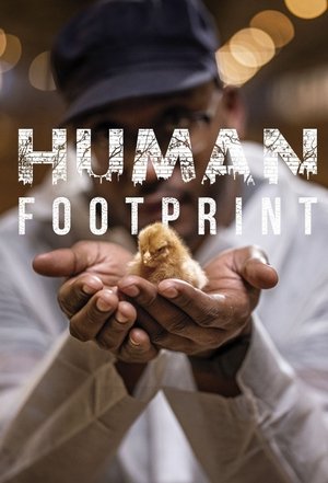 Human Footprint Poster