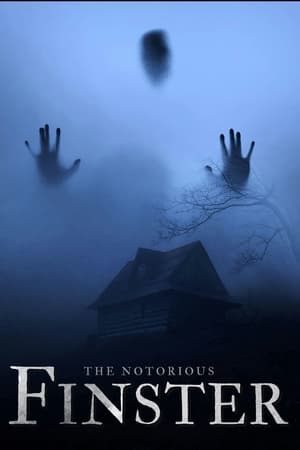 The Notorious Finster Poster