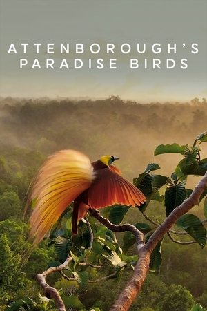 Attenborough's Paradise Birds Poster