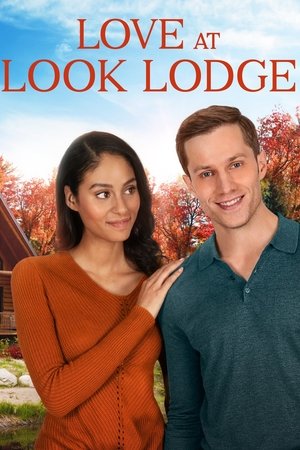 Love at Look Lodge Poster