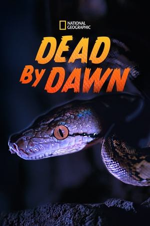Dead By Dawn Poster