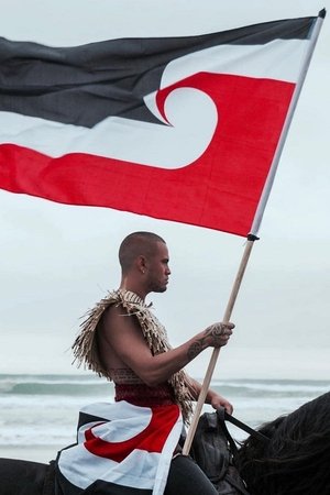 The Walkers (NZ) Poster