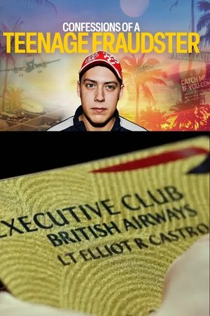 Confessions of a Teenage Fraudster Poster